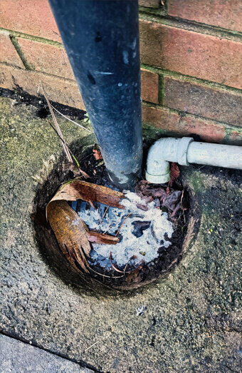 https://plumberbicton.com.au/uploads/2025/06/blocked-drains-294506.jpg