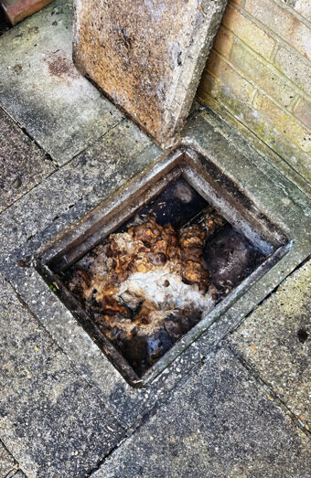 https://plumberbicton.com.au/uploads/2025/06/blocked-drains-465055.jpg